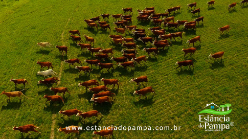 DOS EÓLICOS VIRA P FAZENDA_Moment.00_08_32_24.Quadro264_22279dc5f48890830bb4d95a73a935ff5fc269ba.jpg